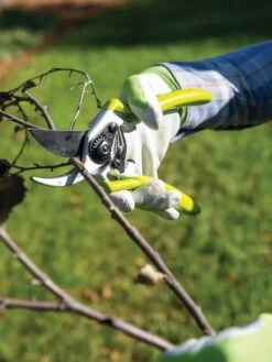 Gardener's Pro Pruner #2 -Bloomgear Garden Shop 8596605 032 tif