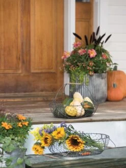 Galvanized Rim Planters -Bloomgear Garden Shop 8597379 1625 tif