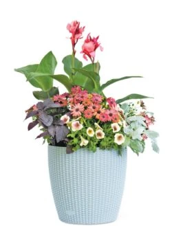 Weave Self-Watering Round Planter, 14" -Bloomgear Garden Shop 8597388 2175 tif