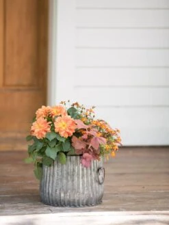 Galvanized Ribbed Planters -Bloomgear Garden Shop 8597434 1695 tif