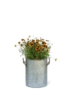 Galvanized Rim Planters -Bloomgear Garden Shop 8597442 1705 tif