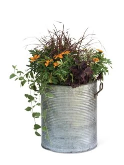 Galvanized Rim Planters -Bloomgear Garden Shop 8597443 1704 tif