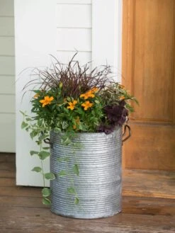 Galvanized Rim Planters -Bloomgear Garden Shop 8597443 1708 tif