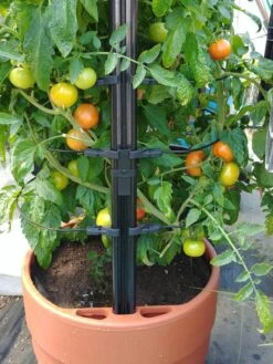Gardener’s Victory Self-Watering Planter With Support System -Bloomgear Garden Shop 8598384 01EMP tif 1