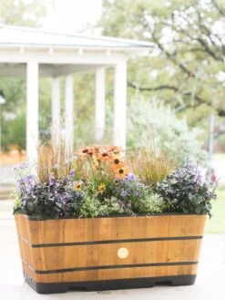 VegTrug™ Trough Planters -Bloomgear Garden Shop 8598402 8880 tif