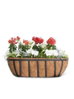AquaSave™ Oxford Window And Deck Planters -Bloomgear Garden Shop 8598626 8809 tif
