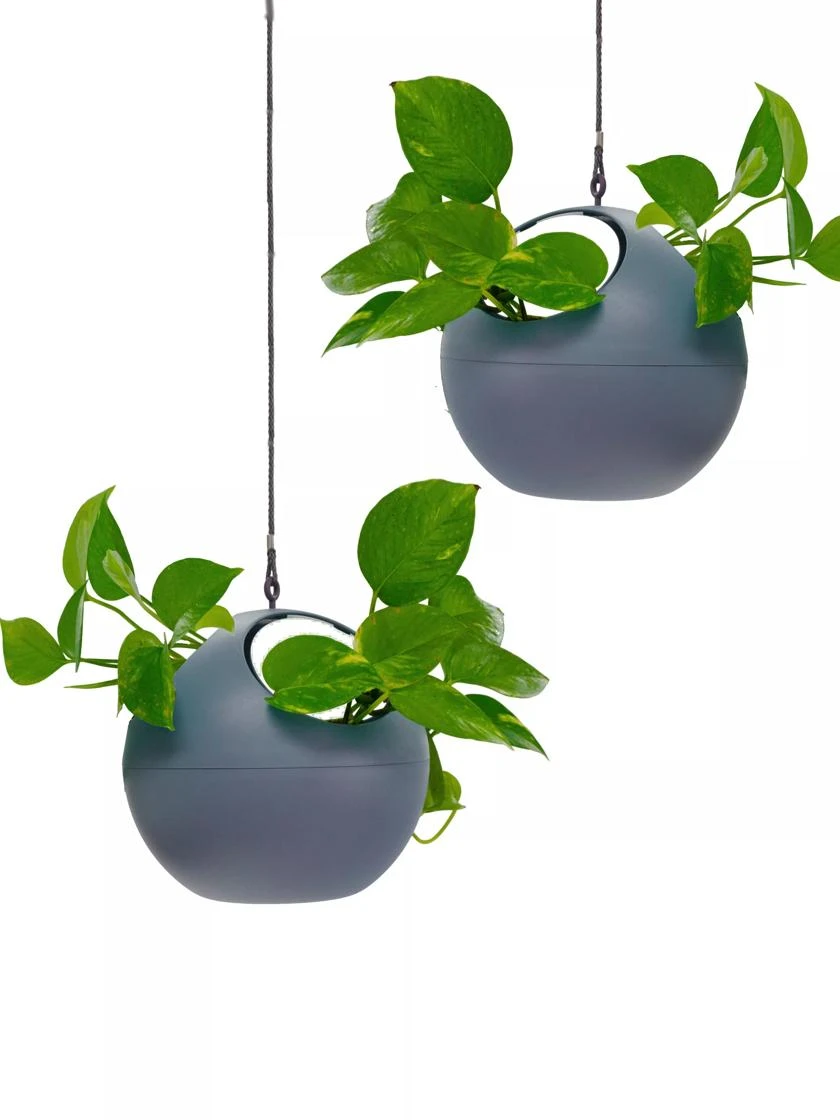 Exaco Euro Hanging Planters, Set Of 2 4 Exaco Euro Hanging Planters, Set Of 2 - Image 4