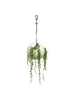 Exaco Euro Hanging Planters, Set Of 2 6 Exaco Euro Hanging Planters, Set Of 2 -Bloomgear Garden Shop 8599179 06V tif