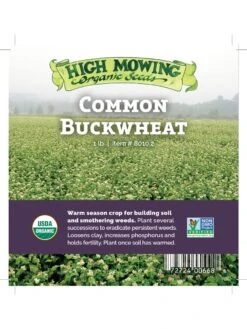Common Buckwheat Organic Seeds -Bloomgear Garden Shop 8599871 04v