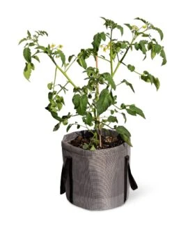 Reinforced Colorful Grow Bags -Bloomgear Garden Shop 8600229 0944 tif