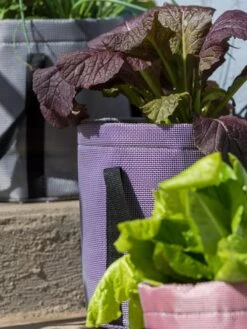 Reinforced Colorful Grow Bags -Bloomgear Garden Shop 8600230 20013 tif