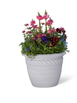 Cortina Self-Watering Planters -Bloomgear Garden Shop 8600316 19838 tif