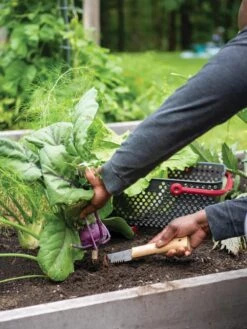 Gardener's Lifetime Hori Hori Knife -Bloomgear Garden Shop 8608888 0422 tif