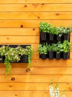 8 Pot Metal Wall Planter -Bloomgear Garden Shop 8609195 6250 tif