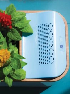 Dewplanter 7 Dewplanter -Bloomgear Garden Shop 8609512 Dewplanter