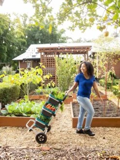 Mod Hod Trolley With Teal Mod Hods 7 Mod Hod Trolley With Teal Mod Hods -Bloomgear Garden Shop 8610240 0070 tif