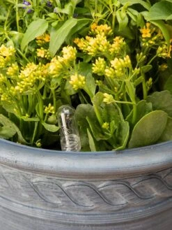 Adjustable Self-Watering Insert For Pots And Planters -Bloomgear Garden Shop 8610250 0010 tif