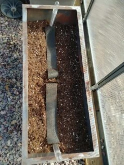 Adjustable Self-Watering Insert For Pots And Planters -Bloomgear Garden Shop 8610250 7000 tif