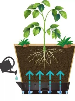 VegTrug® Build-a-Barrel Wooden Planter With Self-Watering Reservoir Tray, 18" 9 VegTrug® Build-a-Barrel Wooden Planter With Self-Watering Reservoir Tray, 18" -Bloomgear Garden Shop 8610253 05V tif