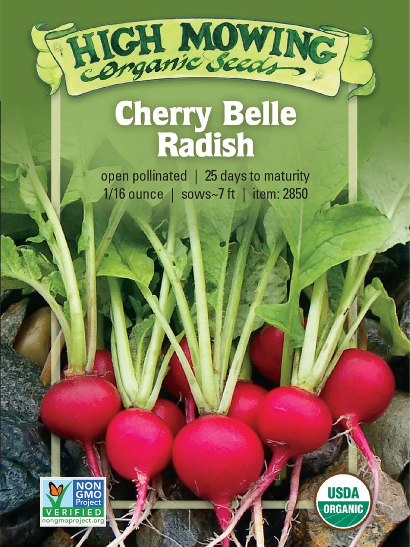 Cherry Belle Radish Organic Seeds 1 Cherry Belle Radish Organic Seeds