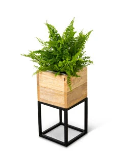 Tartu Elevated Square Planters 17 Tartu Elevated Square Planters -Bloomgear Garden Shop 8611004 038
