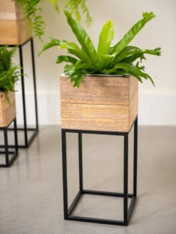 Tartu Elevated Square Planters 13 Tartu Elevated Square Planters -Bloomgear Garden Shop 8611005 035