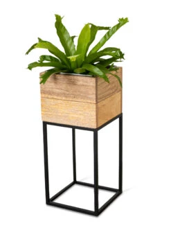 Tartu Elevated Square Planters 18 Tartu Elevated Square Planters -Bloomgear Garden Shop 8611005 036