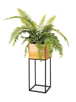 Tartu Elevated Square Planters 16 Tartu Elevated Square Planters -Bloomgear Garden Shop 8611006 033