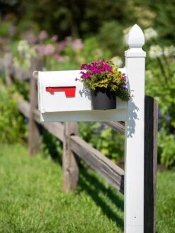 Mailbox Planter 6 Mailbox Planter -Bloomgear Garden Shop 8611026 014 tif