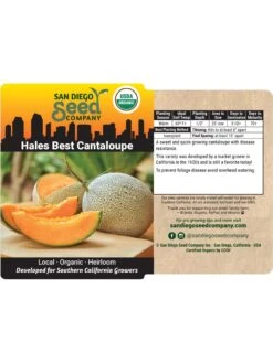 Hales Best Cantaloupe Organic Seeds -Bloomgear Garden Shop 8611872 02v