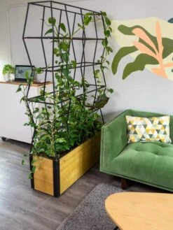 Self-Watering Partition Planter 8 Self-Watering Partition Planter -Bloomgear Garden Shop 8611952 001 tif