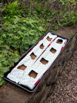 Berry Blend Coir Grow Bag, Set Of 2 -Bloomgear Garden Shop 8611968 361 tif