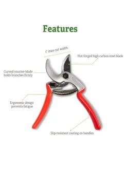 Castellari Mini Anvil Pruner -Bloomgear Garden Shop 8612199 5
