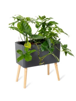 Ava Self-Watering Rectangular Planter -Bloomgear Garden Shop 8612691 0013