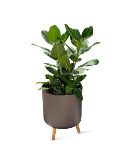 Ava Self-Watering Round Planter -Bloomgear Garden Shop 8612692 0003
