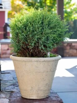Self-Watering LavaStone® Anson Pot -Bloomgear Garden Shop 8613255 0144