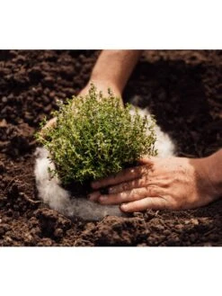 Hortiwool ®, 5 Pad Pack -Bloomgear Garden Shop 8613263 06v 1