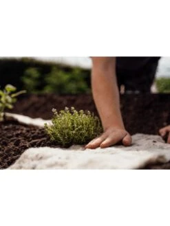 Hortiwool ®, Starter Garden Pad -Bloomgear Garden Shop 8613263 09v