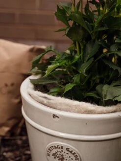 Hortiwool ®, 5 Pad Pack -Bloomgear Garden Shop 8613263 17v