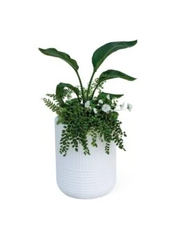 Arden Round Planter -Bloomgear Garden Shop 8613267 0115
