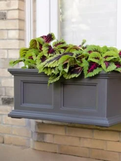 Fairfield Self-Watering Window Box, 2’ -Bloomgear Garden Shop 8613268 08V tif