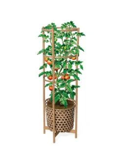 Elevated Bamboo Tomato Planter And Trellis -Bloomgear Garden Shop 8613502 art flat