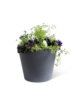 Self-Watering FiberStone Planters -Bloomgear Garden Shop 8613676 8645