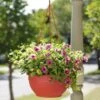 Self-Watering Hanging Basket