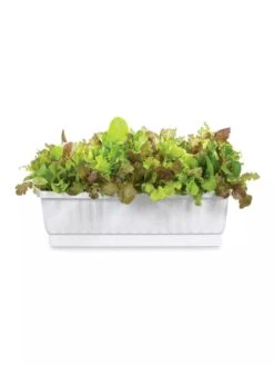 31" Self-Watering Window Box -Bloomgear Garden Shop GS36523 01Z 3 4