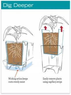 Stoneware Self-Watering Windowsill Planters, Set Of 2 9 Stoneware Self-Watering Windowsill Planters, Set Of 2 -Bloomgear Garden Shop hiw 8593943 jpg