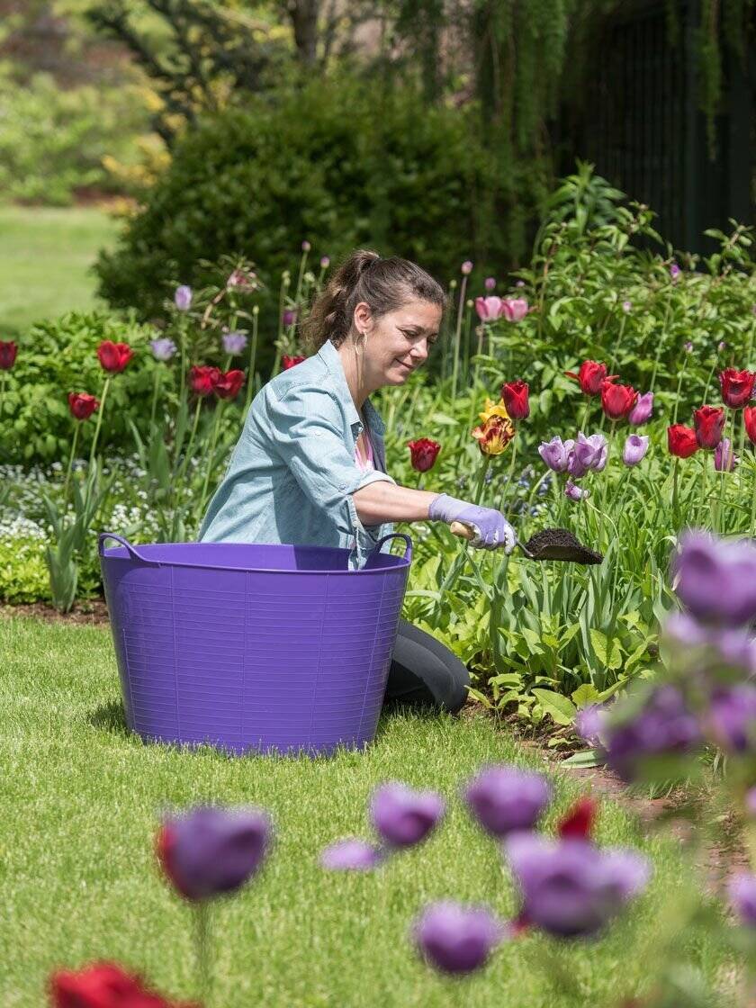 Bloomgear Garden Shop -Bloomgear Garden Shop 1648152575 8599088 13830