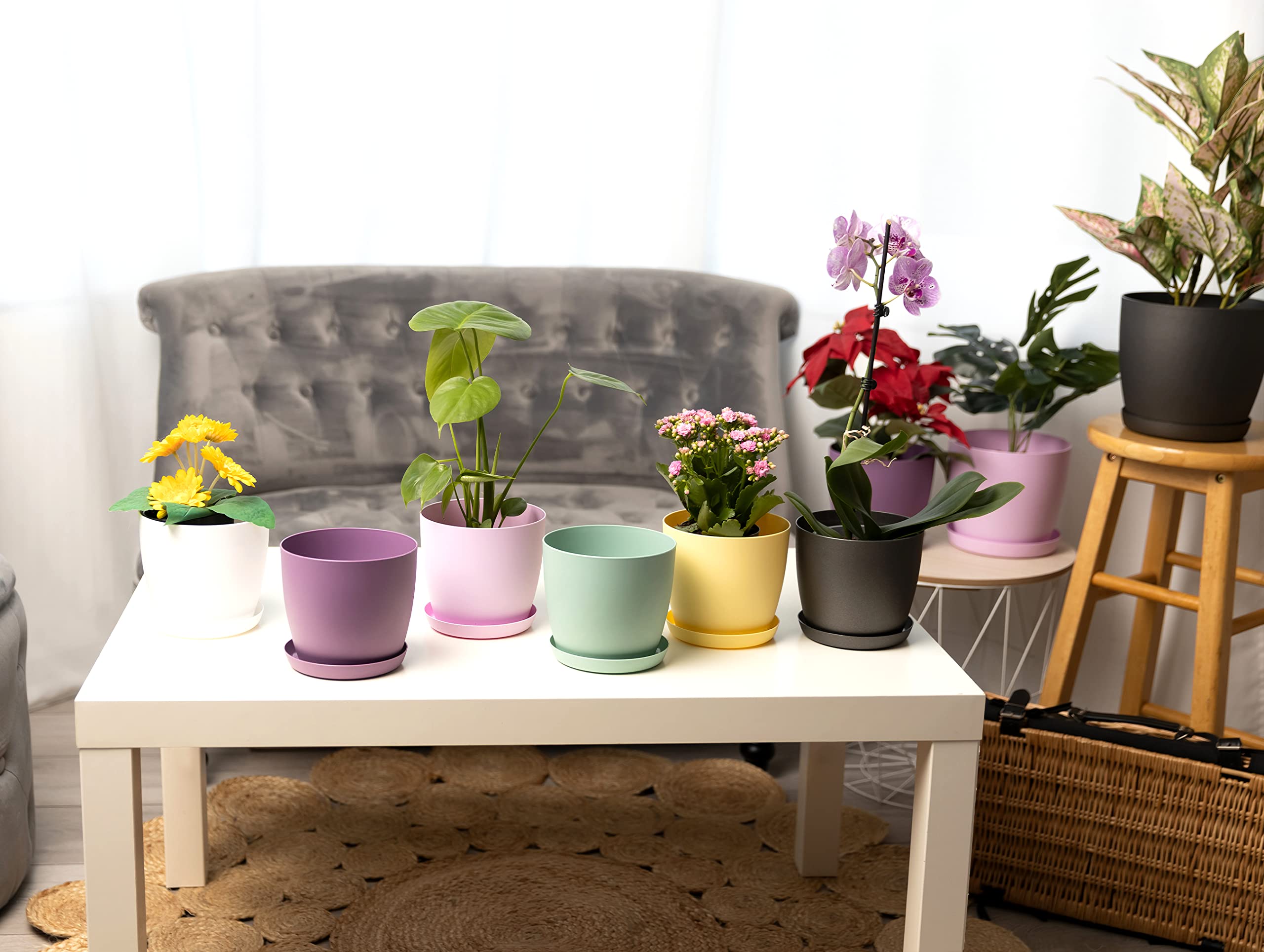 Bloomgear Garden Shop -Bloomgear Garden Shop 81CWR2k2WrL